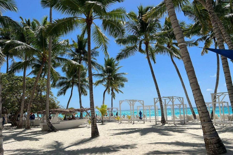 Saona Island and Chavon River Tour with Lunch and Drinks